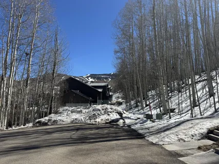 $200,000 | 304 Adams Ranch Road, Mountain Village, CO 81435