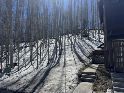 $200,000 | 304 Adams Ranch Road, Mountain Village, CO 81435