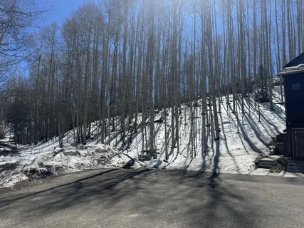 $200,000 | 304 Adams Ranch Road, Mountain Village, CO 81435
