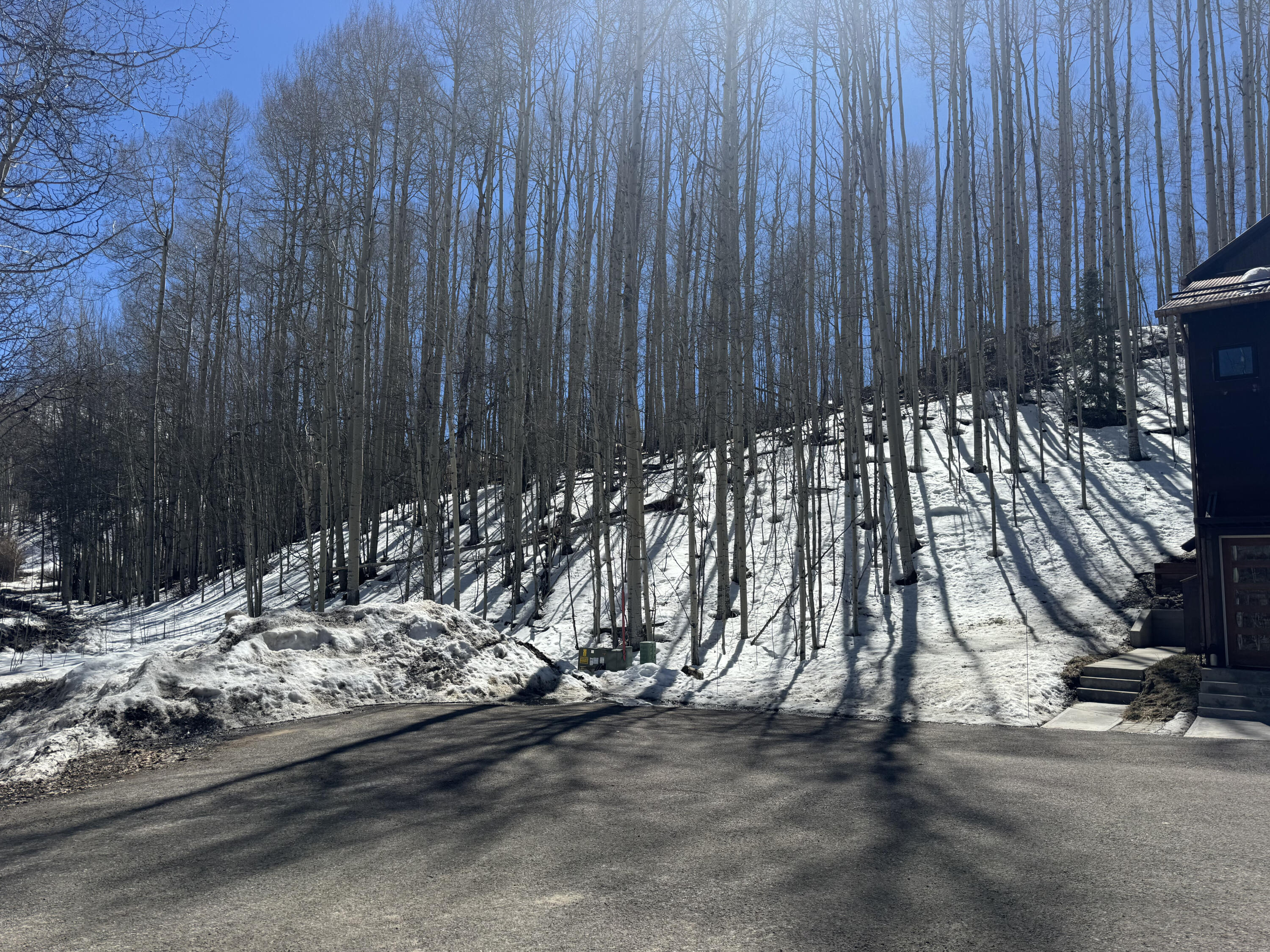 304 Adams Ranch Road Mountain Village, CO 81435 - Photo 6 of 11 IMG_0212