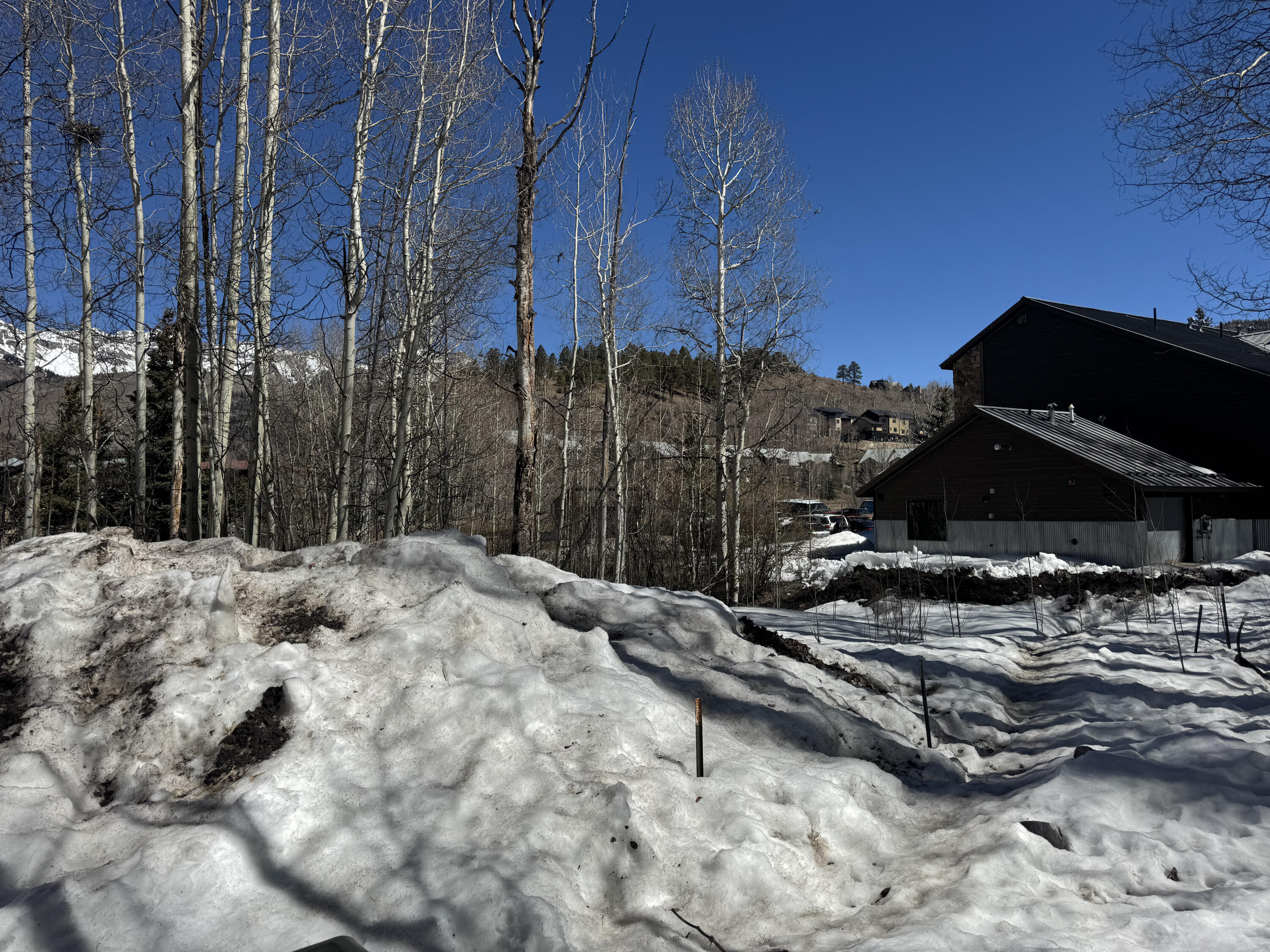 304 Adams Ranch Road Mountain Village, CO 81435 - Photo 10 of 11 IMG_0210