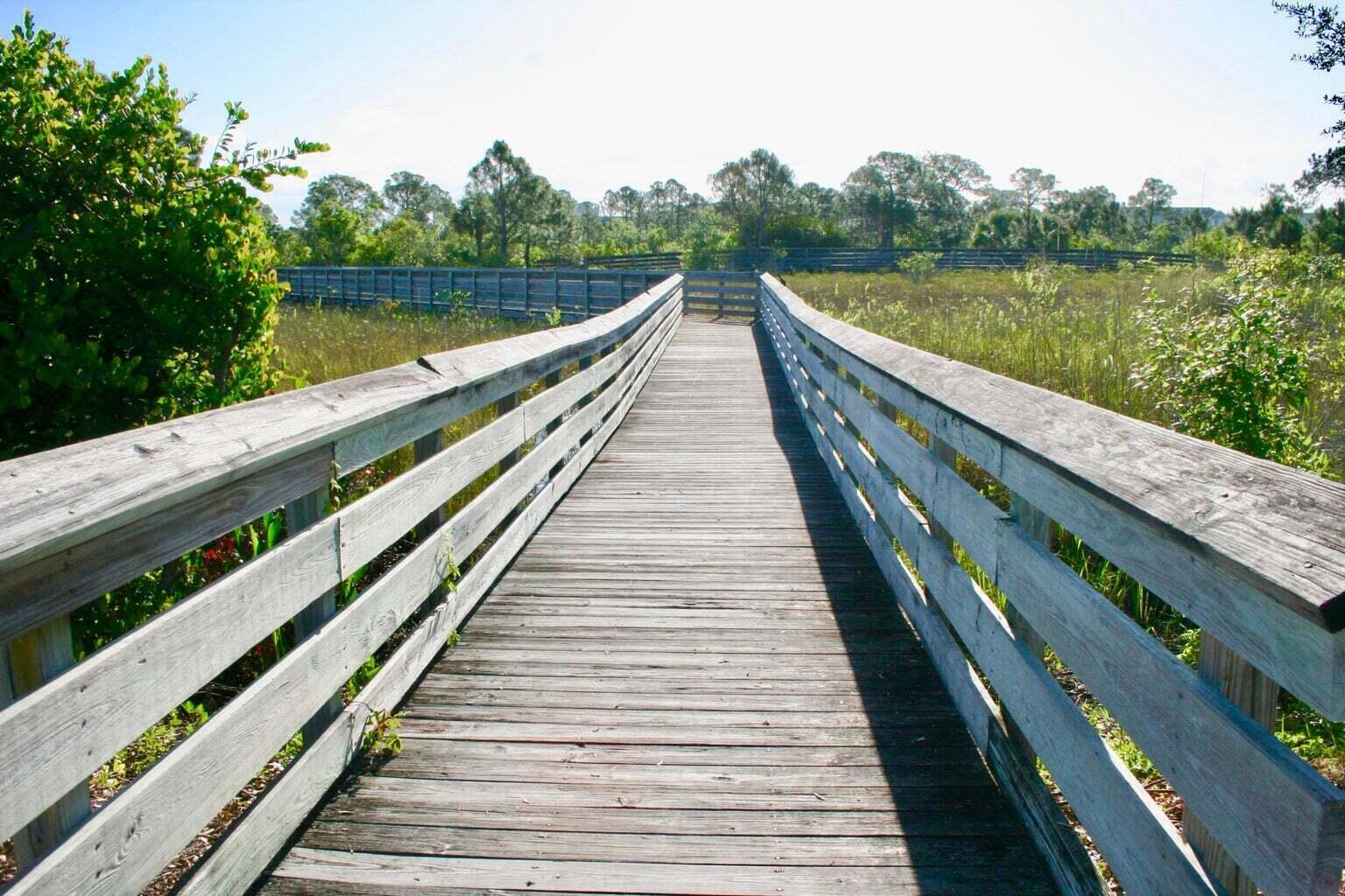 111 Leather Leaf Drive Jupiter, FL 33458 - Photo 79 of 81 Botanica Preserve