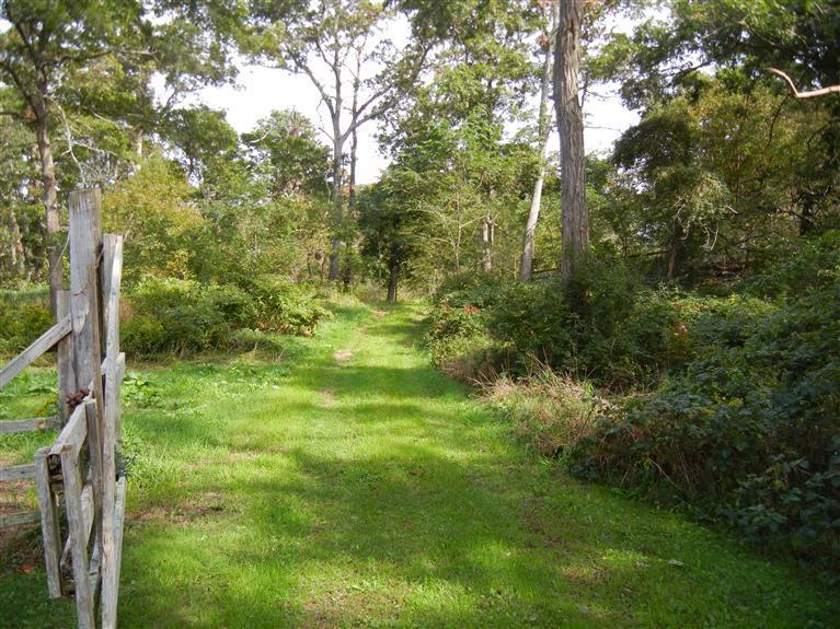 179 Great Fields Road Brewster, MA 02631 - Photo 10 of 26 Additional Photo