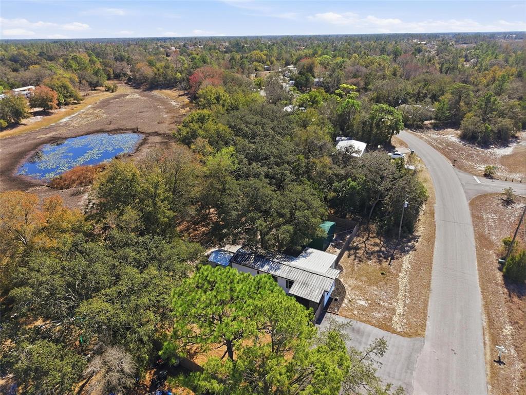 9727 Lake Drive Weeki Wachee, FL 34613 - Photo 30 of 32