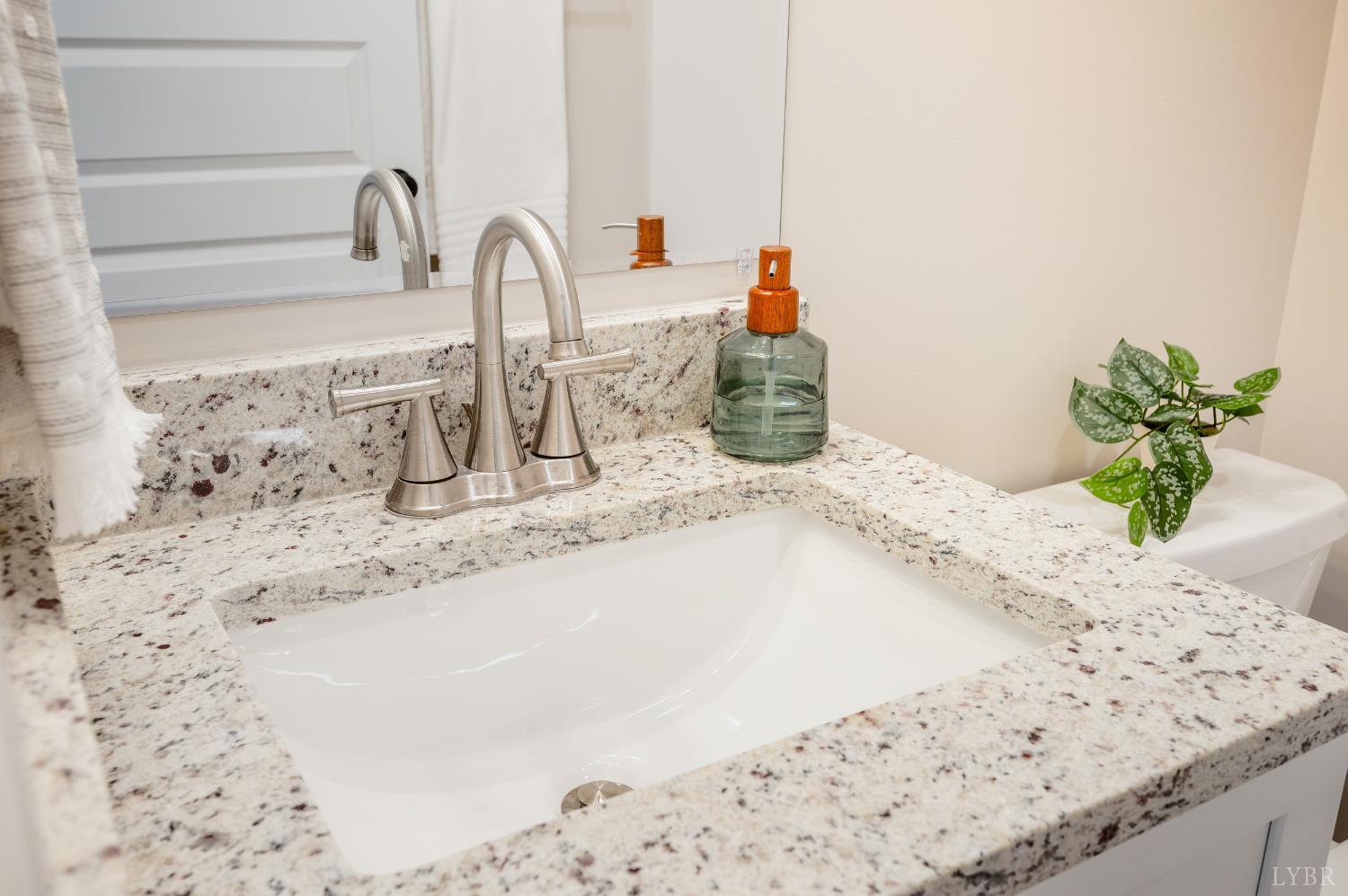 10528 Leesville Road Lynch Station, VA 24571 - Photo 30 of 58 a close view of sink