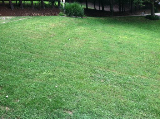 918 Hillvale Road Andersonville, TN 37705 - Photo 7 of 16 Additional Photo