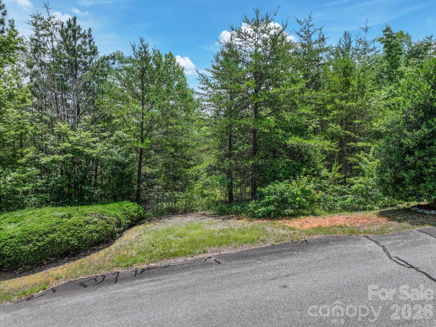 121 Jobes Trail, Unit 35 Mill Spring, NC 28756 - Photo 9 of 20