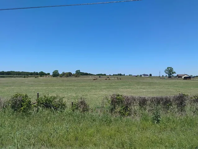 a view of a grassy area
