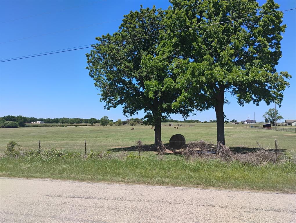 9100 Nix Road Tolar, TX 76476 - Photo 12 of 13 a view of a lake with a big yard and large trees