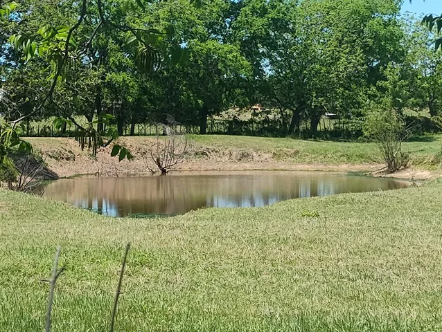 a view of a lake with a yard