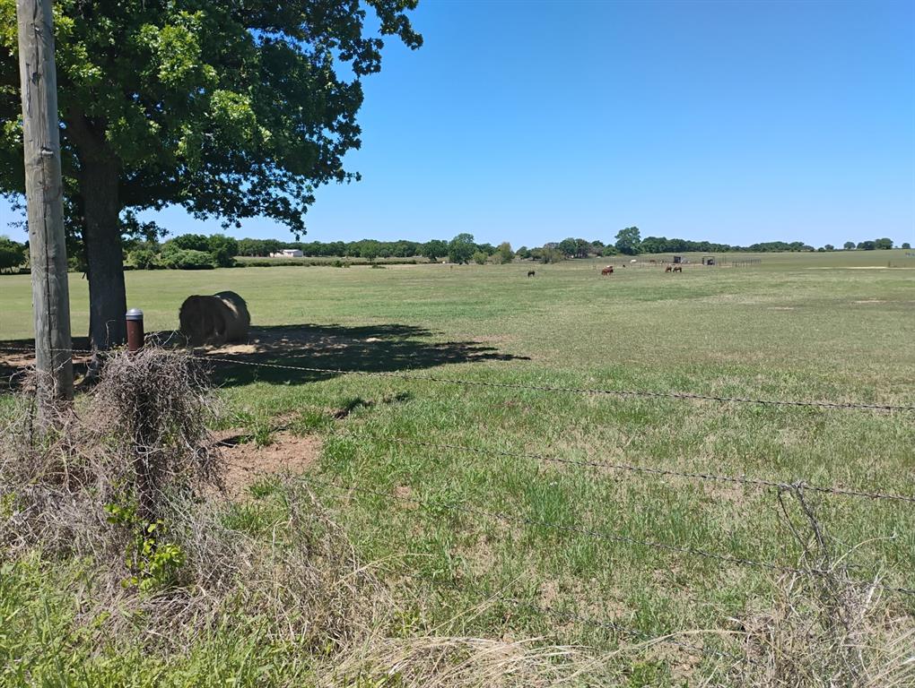 9100 Nix Road Tolar, TX 76476 - Photo 9 of 13 a view of a lake with a yard
