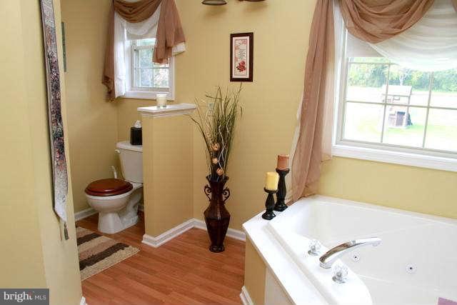 163 Lake Ridge Road Strasburg, VA 22657 - Photo 18 of 30 Interior (General)