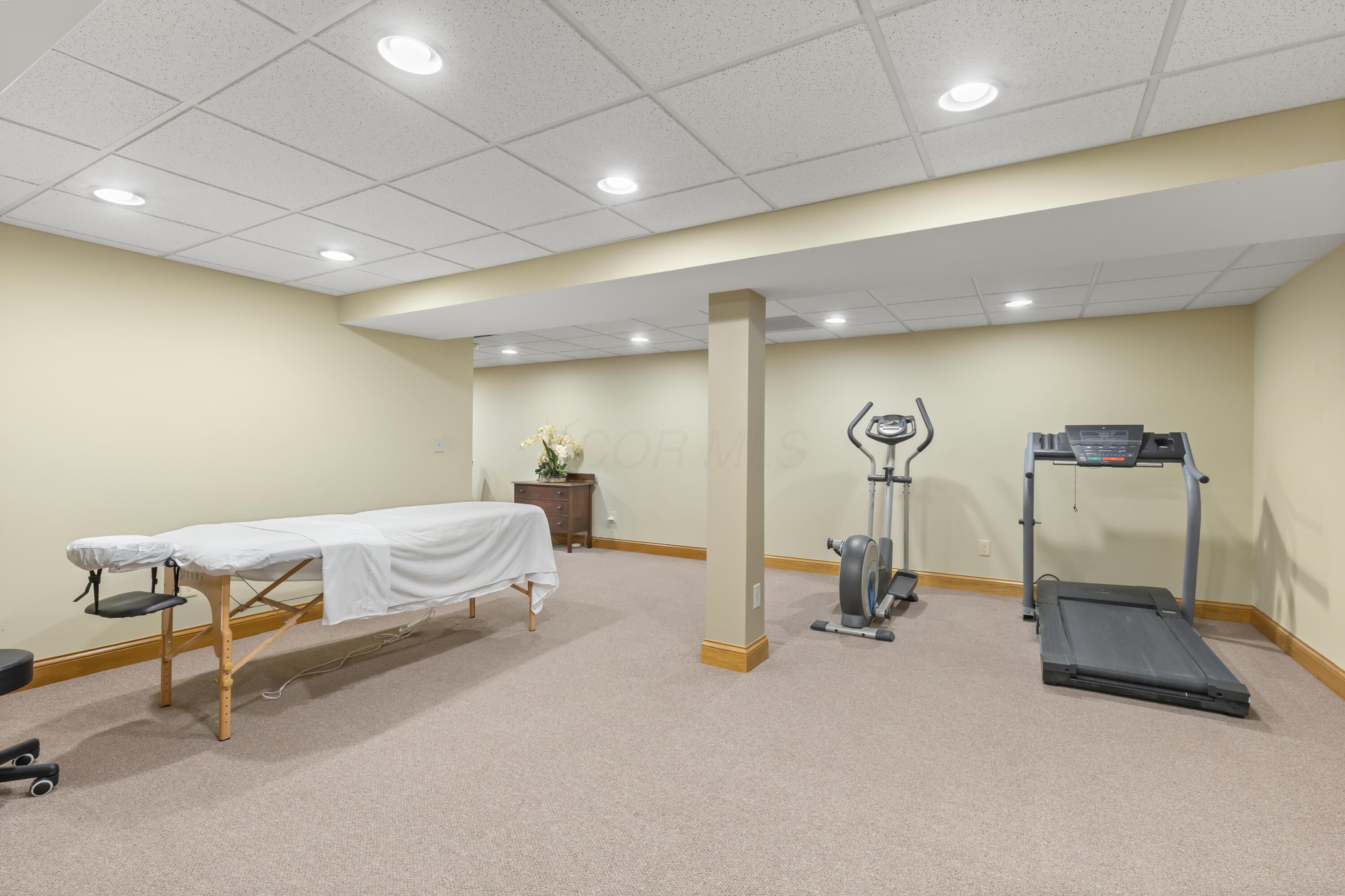 1364 Dale Ford Road Delaware, OH 43015 - Photo 78 of 112 • Berber carpet • Sage painted walls • Can lighting • Acoustic ceiling tiles • Storage under stairs