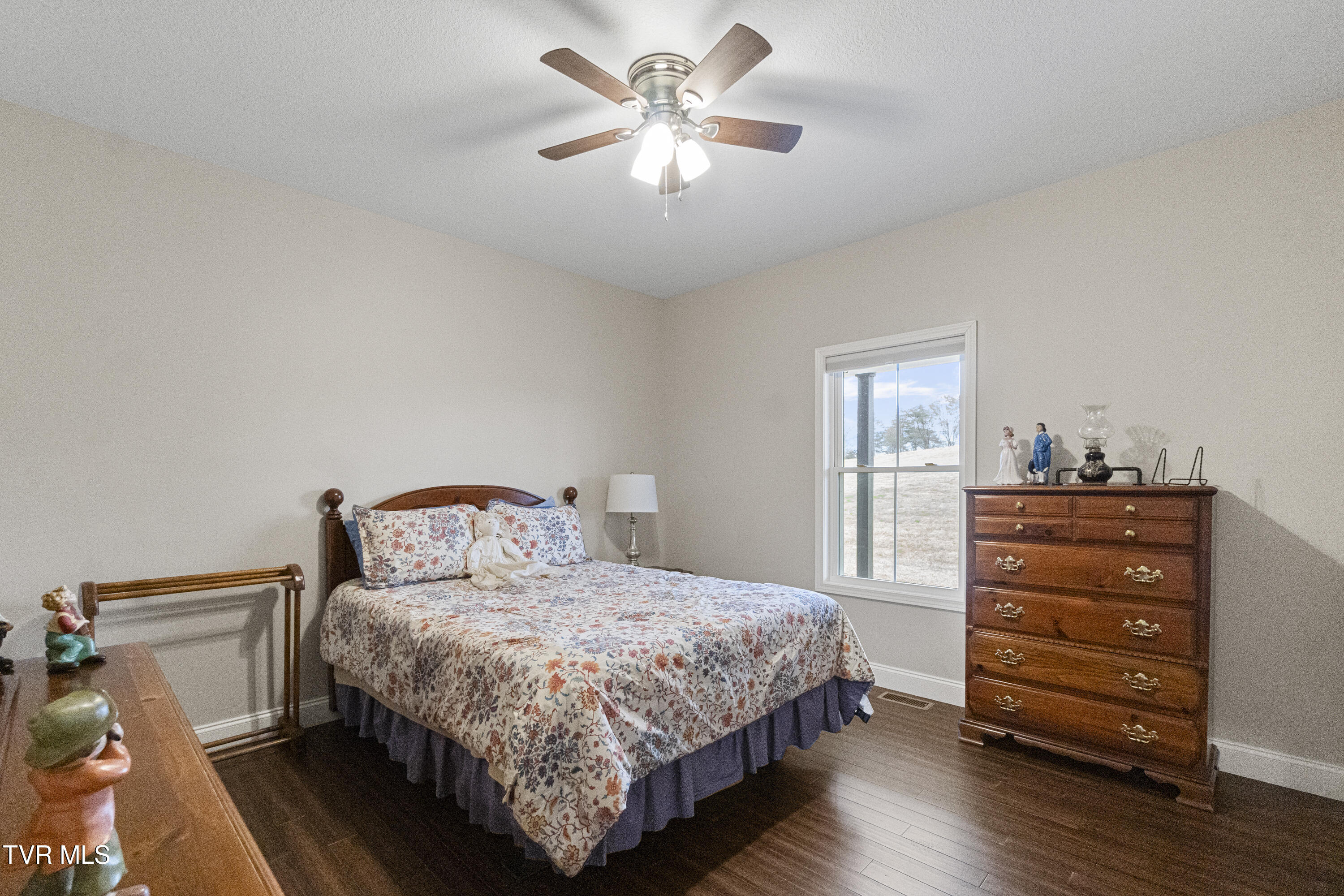 2905 Sunnyside Road Greeneville, TN 37743 - Photo 29 of 68 28