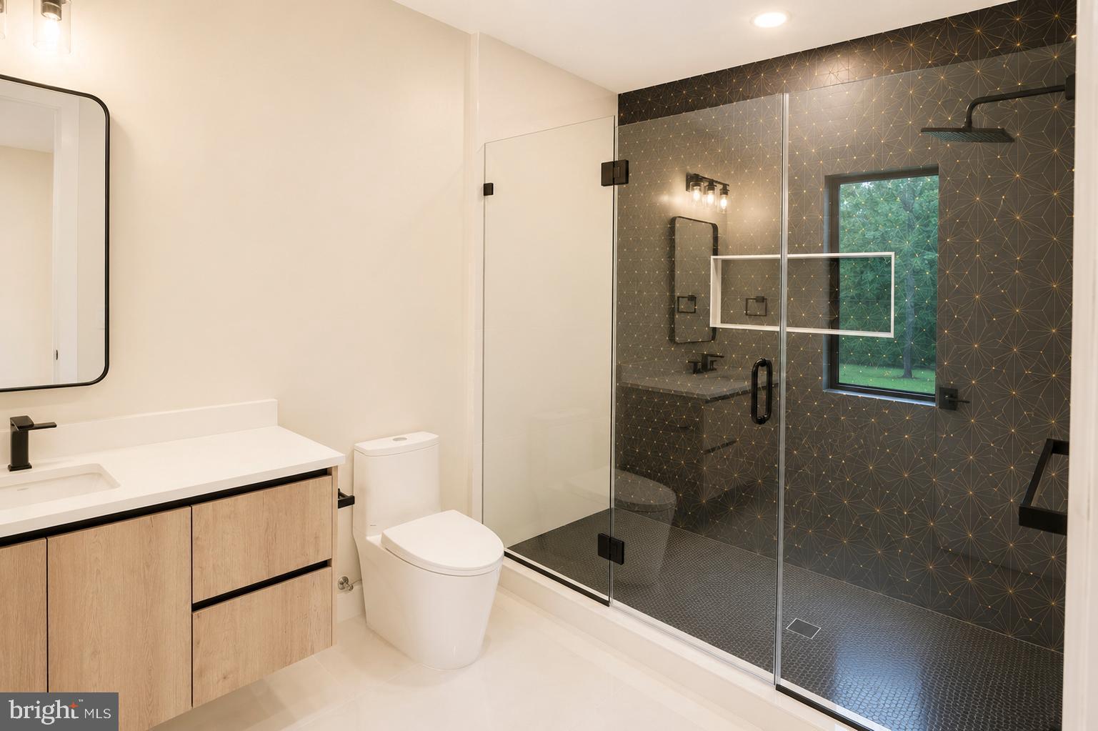 5947 Doyle Road Clifton, VA 20124 - Photo 57 of 69 a bathroom with a sink a toilet and shower