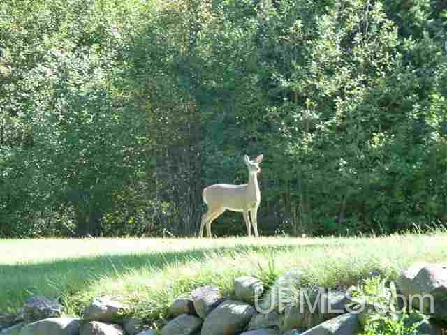 21145 Rivendell Trail Houghton, MI 49931 - Photo 3 of 36