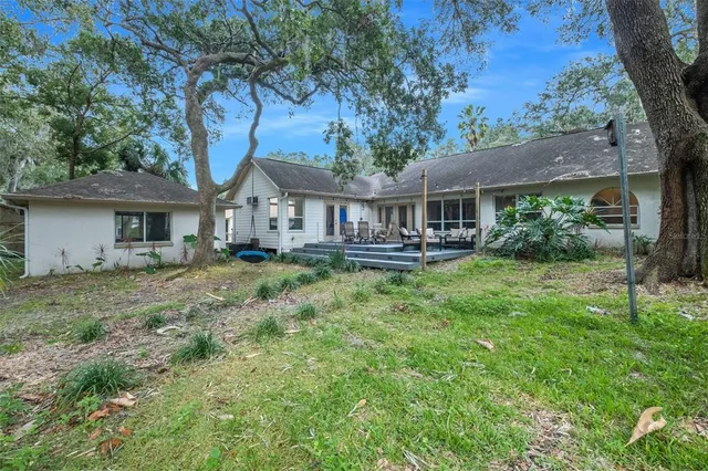 a view of a yard with plants and a large tree