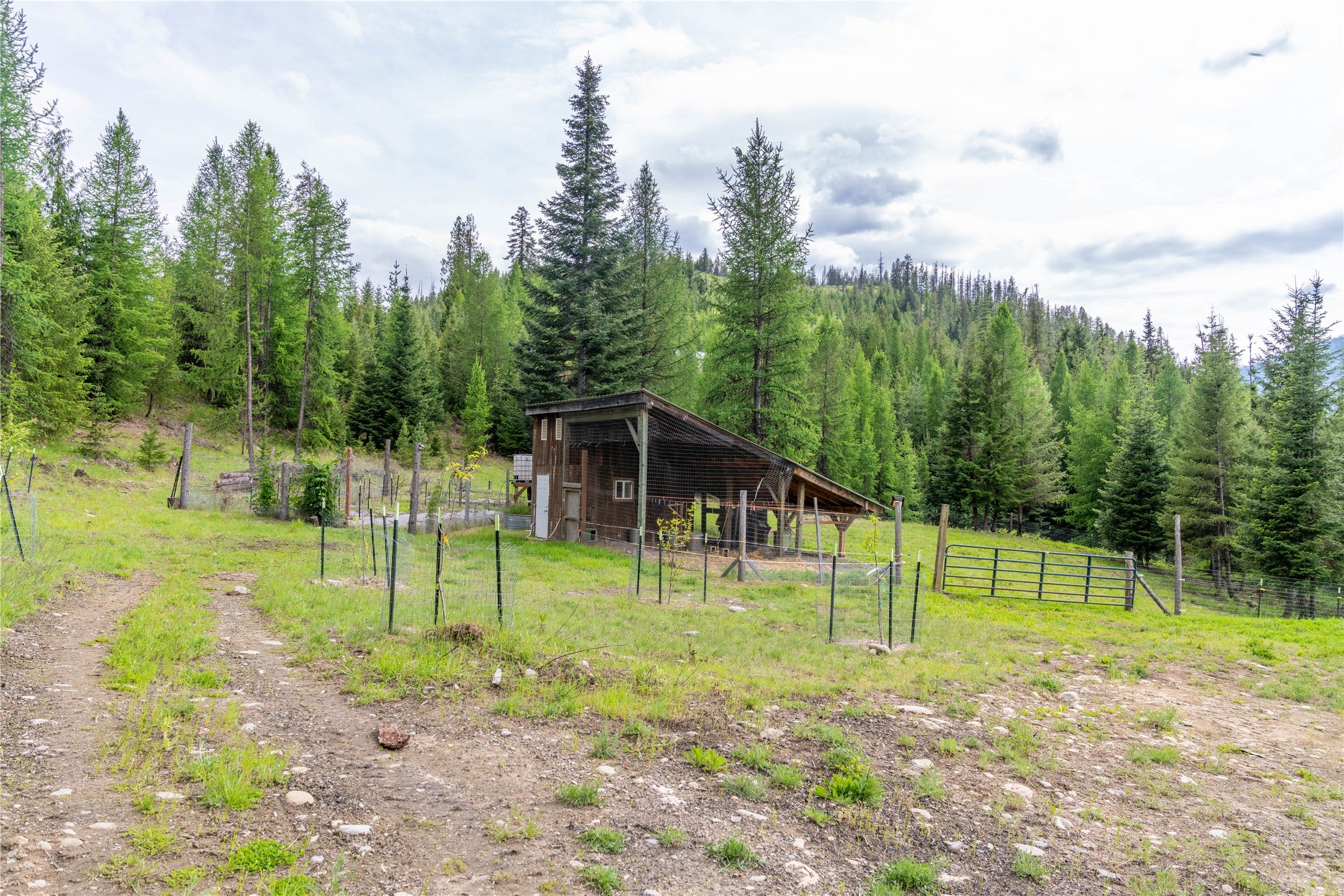 17734 Bull Lake Road Troy, MT 59935 - Photo 24 of 64 Gallery Image 24