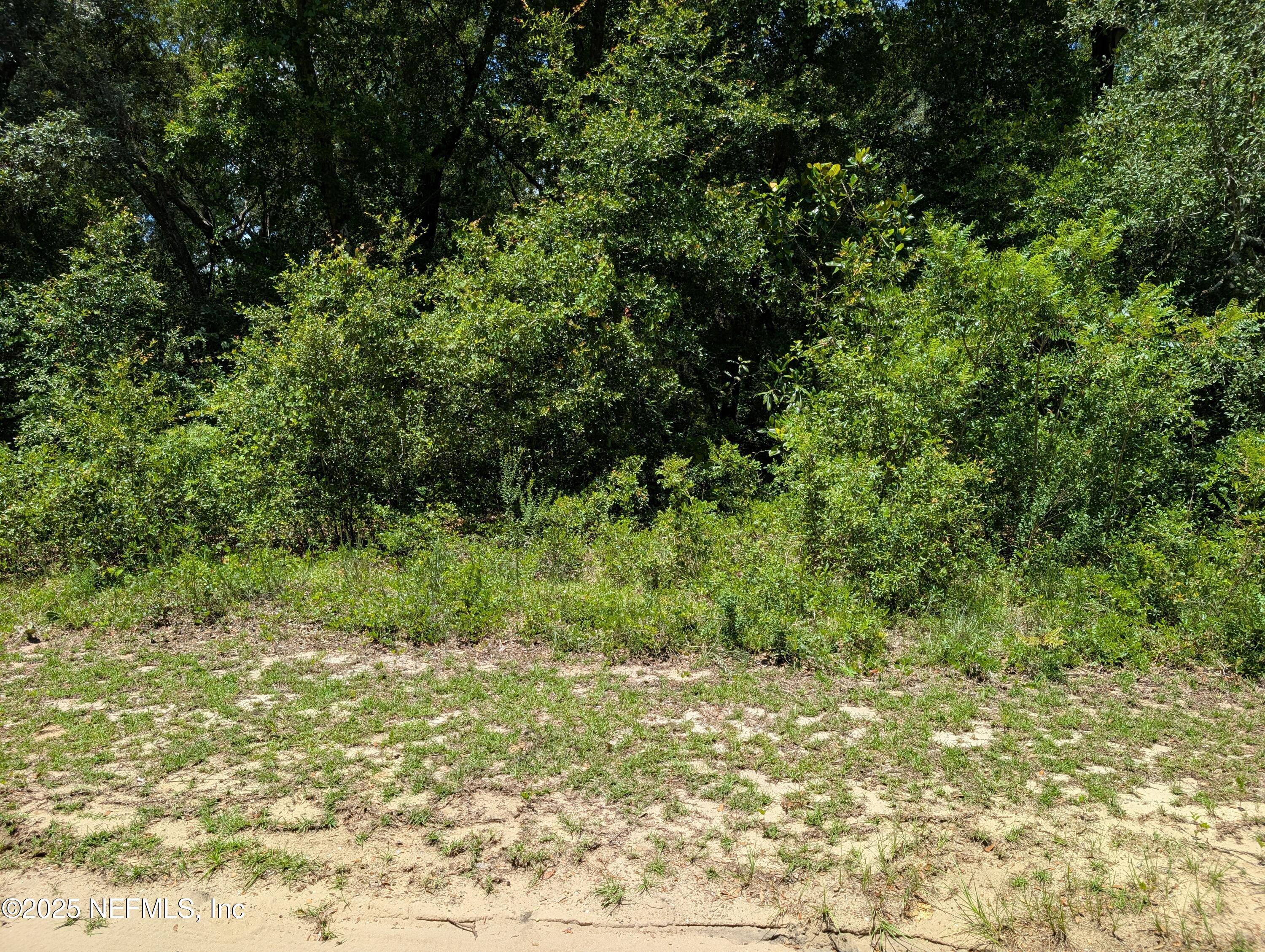 1550 Pine Road Interlachen, FL 32148 - Photo 3 of 3 PINE RD 2