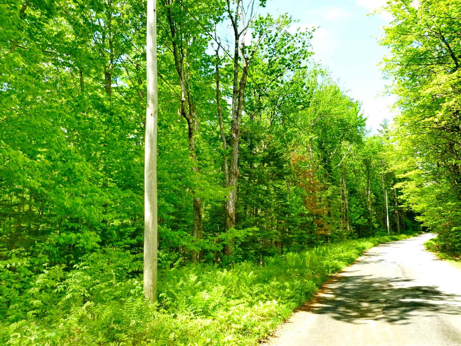377 Paine Road Easton, NH 03580 - Photo 1 of 7