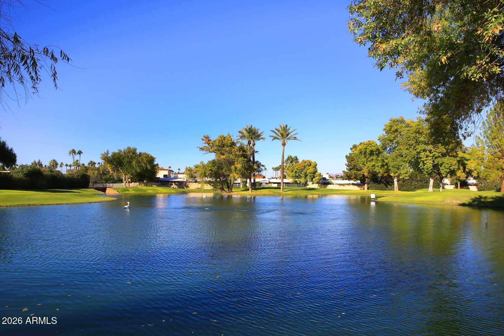 7860 East Camelback Road, Unit 309 Scottsdale, AZ 85251 - Photo 35 of 48 Scottsdale Shadows-Community Pond