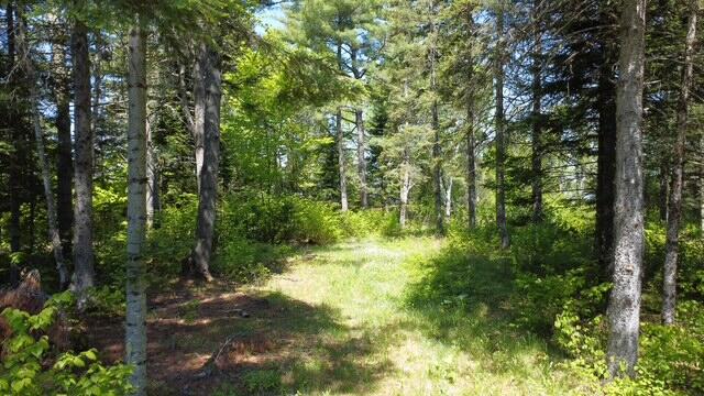 92 W Road Portage, ME 04768 - Photo 14 of 14