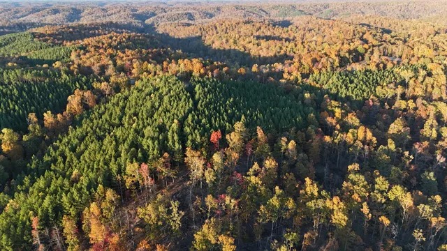 a view of city and green space