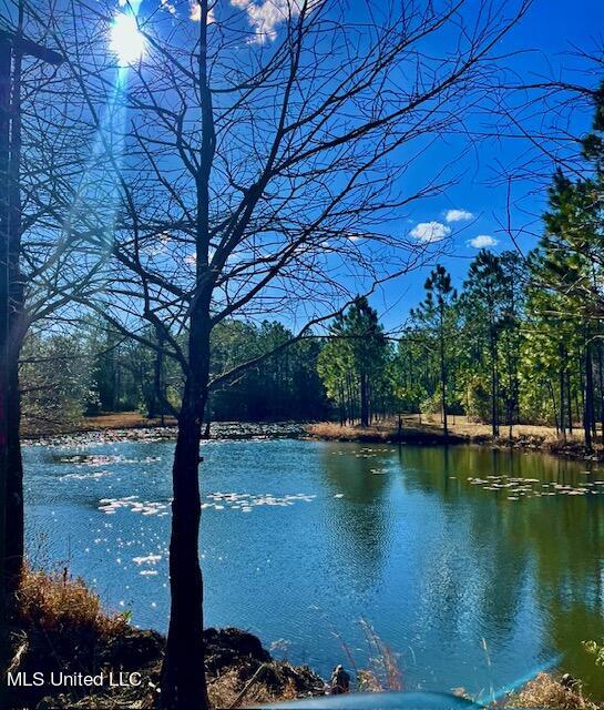 15429 Indian Fork Road Vancleave, MS 39565 - Photo 19 of 63 2nd Pond Area