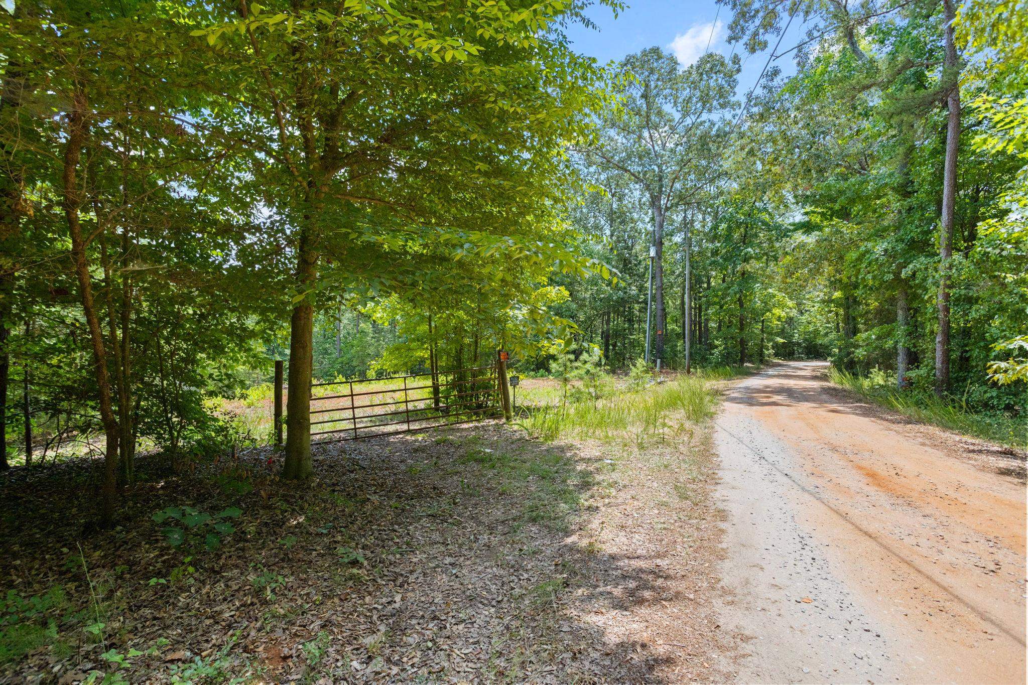161 Utz Lane Starr, SC 29684 - Photo 3 of 14 Gallery Image 3