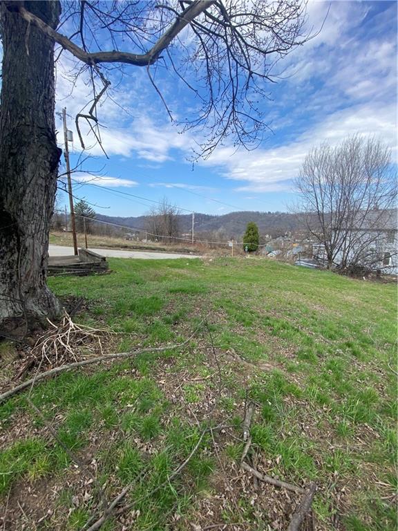 547 Summit Avenue Monessen, PA 15062 - Photo 1 of 5 a view of a big yard with an tree