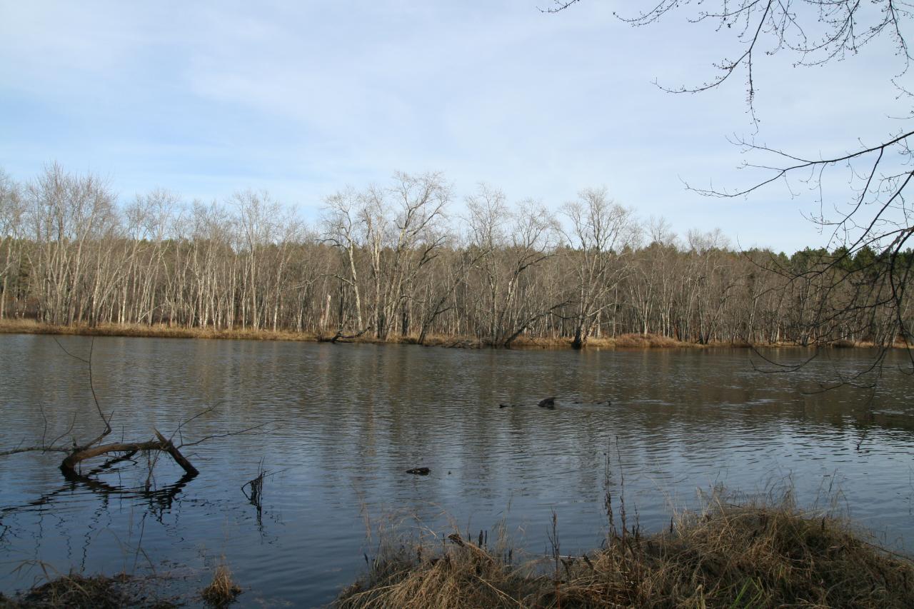 Lot 1 Lyannas Road Lake Tomahawk, WI 54539 - Photo 8 of 8 Gallery Image 8