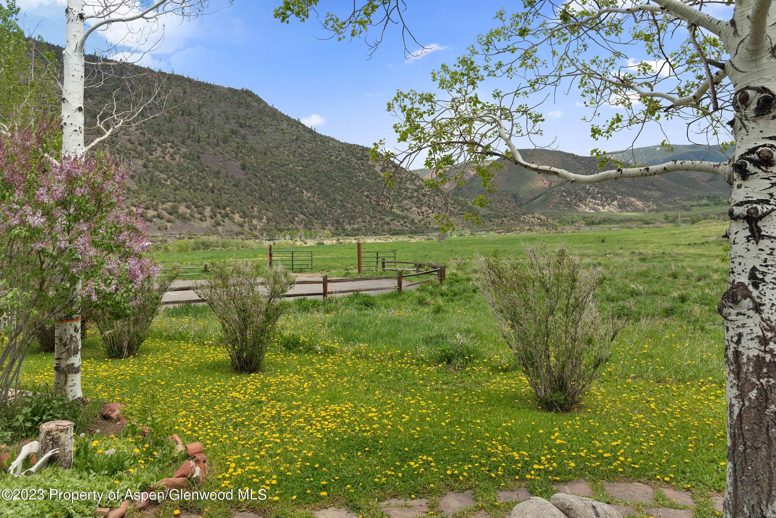 149 Ridge Trail Aspen, CO 81611 - Photo 35 of 35 149RidgeTrail_Med23052501