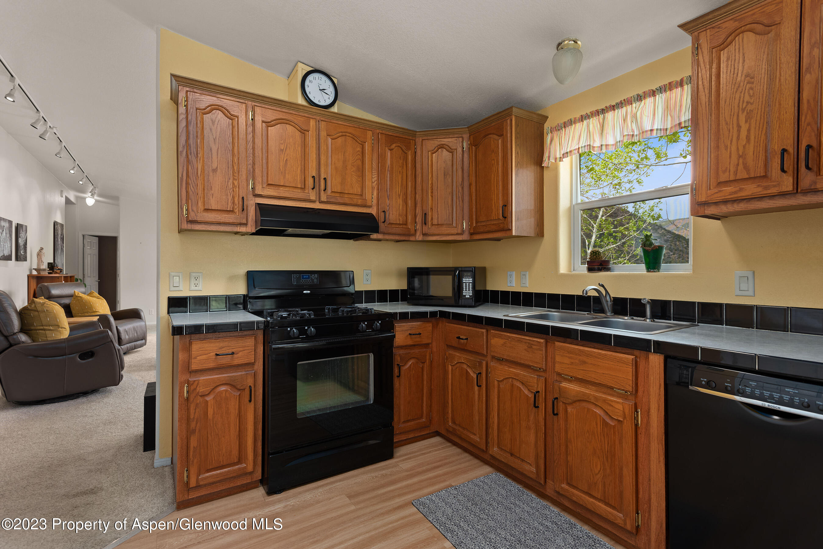 149 Ridge Trail Aspen, CO 81611 - Photo 5 of 35 149RidgeTrail_Med23052506