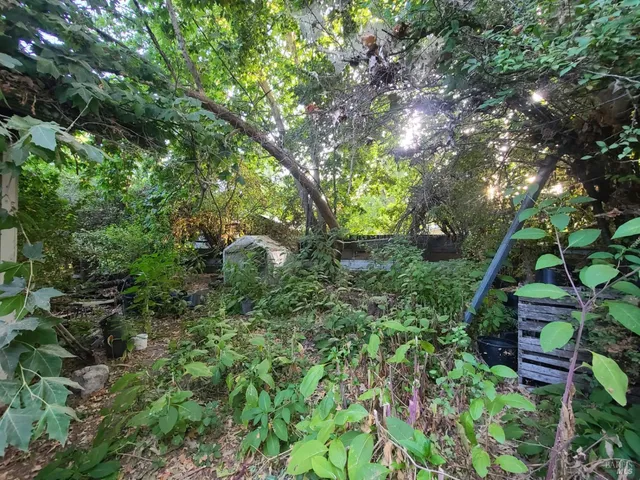 a backyard of a house with lots of green space