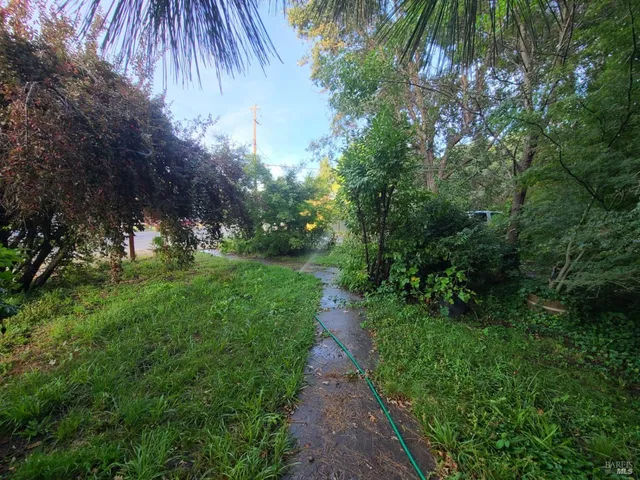 a backyard of a house with lots of green space