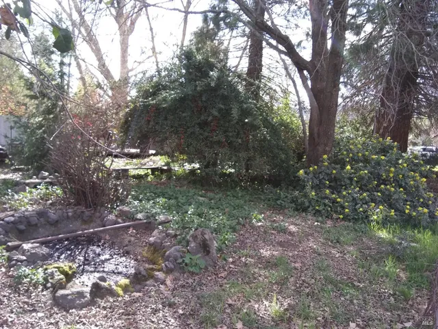 a view of outdoor space and trees