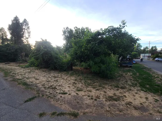 a big yard with lots of green space and trampoline