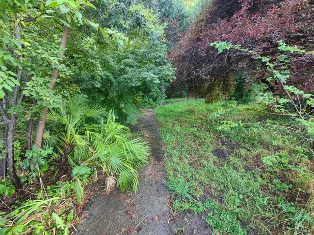 a backyard of a house with lots of green space