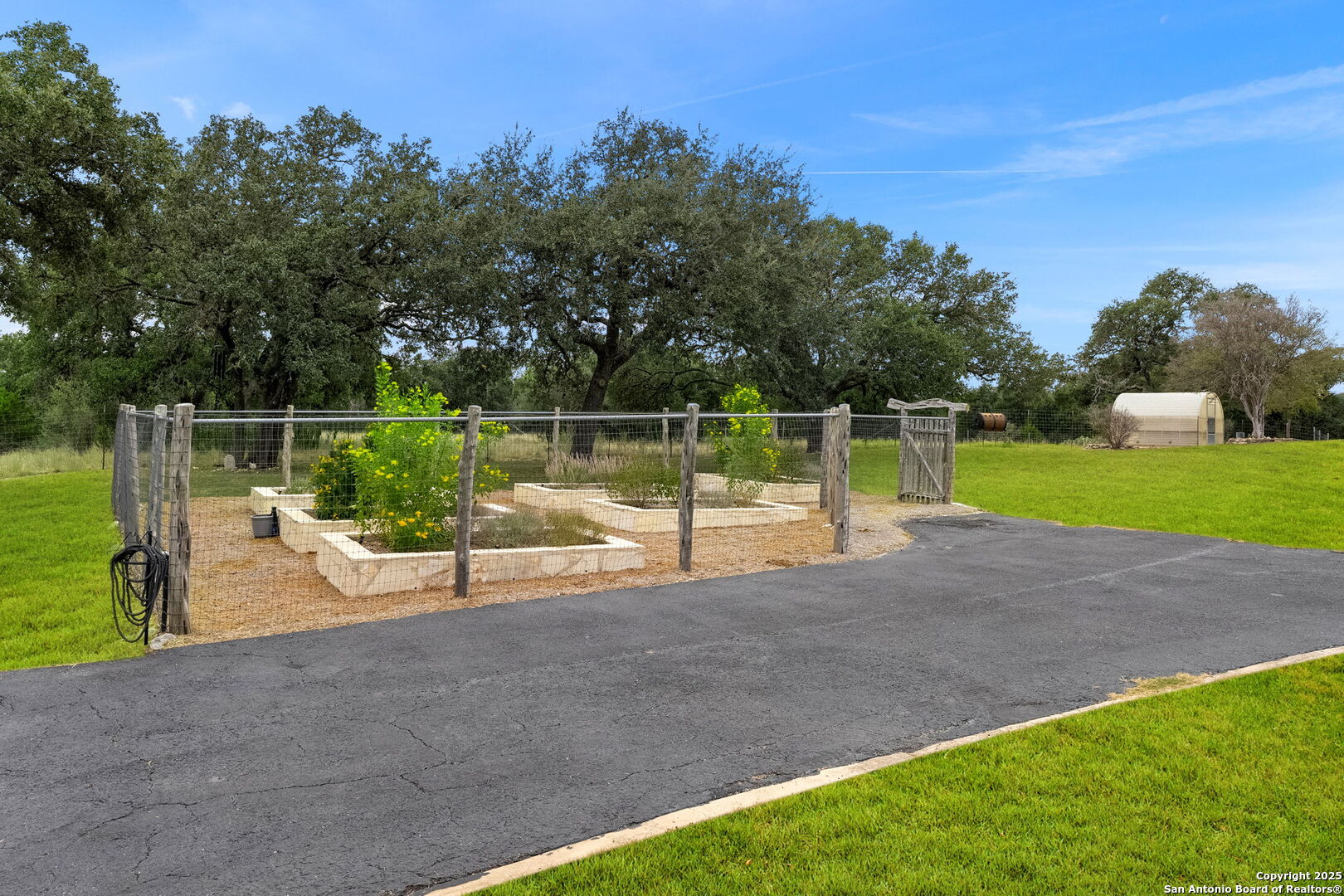 117 Clear Spring Drive Boerne, TX 78006 - Photo 6 of 54