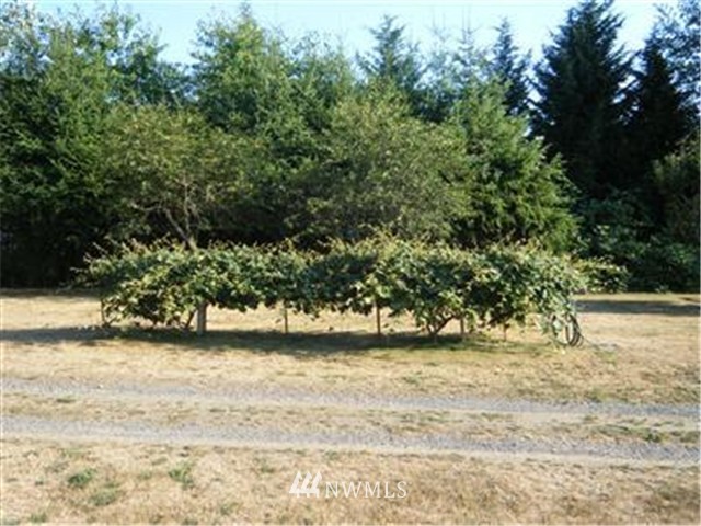 250 Northeast Roy Boad Road Belfair, WA 98528 - Photo 5 of 7 Gallery Image 5