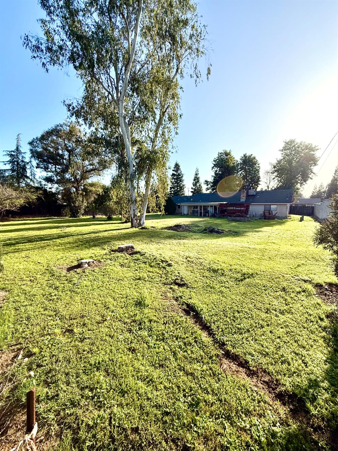 18798 Farallon Road Madera, CA 93638 - Photo 9 of 9