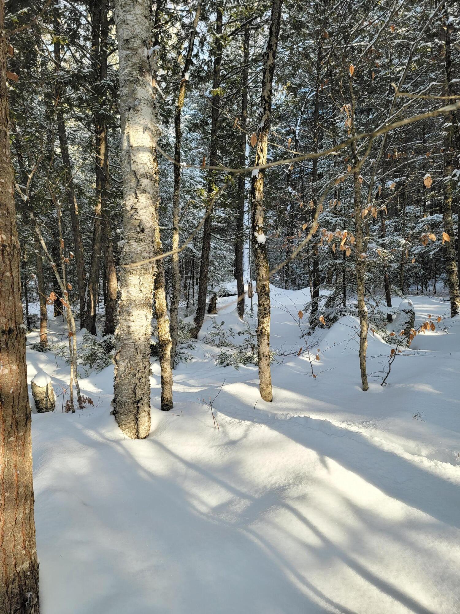 0 Railroadbed Rd Lake View Milo, ME 04463 - Photo 55 of 68 20220125_143942