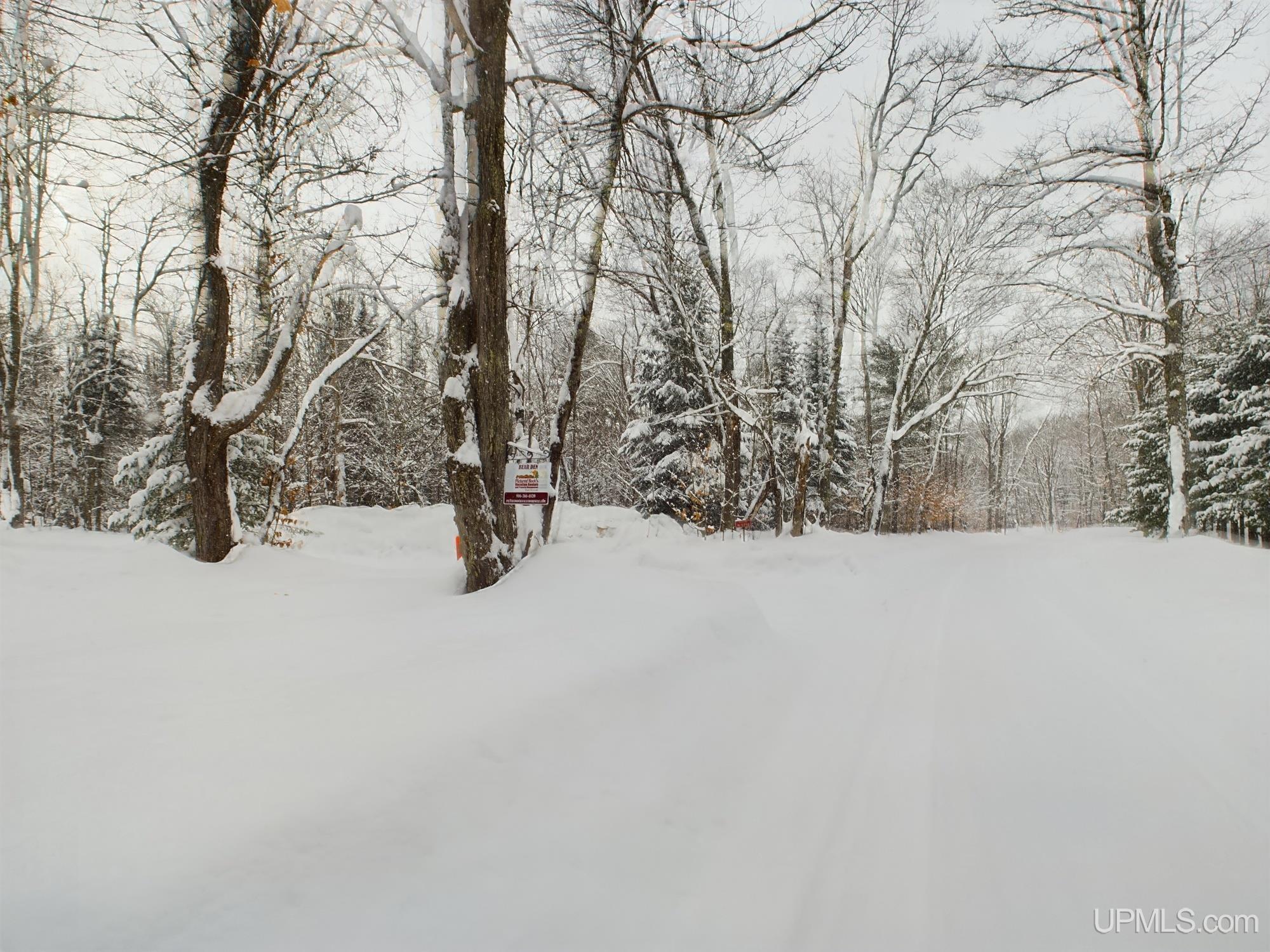 9798 South Ross Lake Road Shingleton, MI 49884 - Photo 22 of 24 Gallery Image 22
