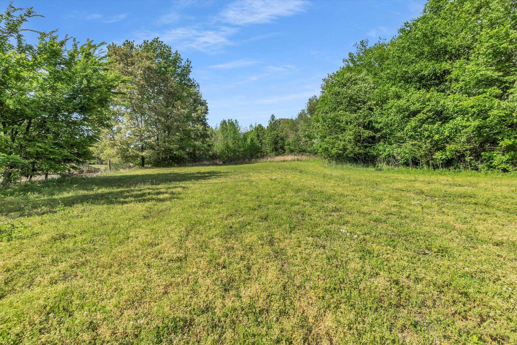 216 Burch Road Dyersburg, TN 38024 - Photo 23 of 25 a view of a field with trees in the background
