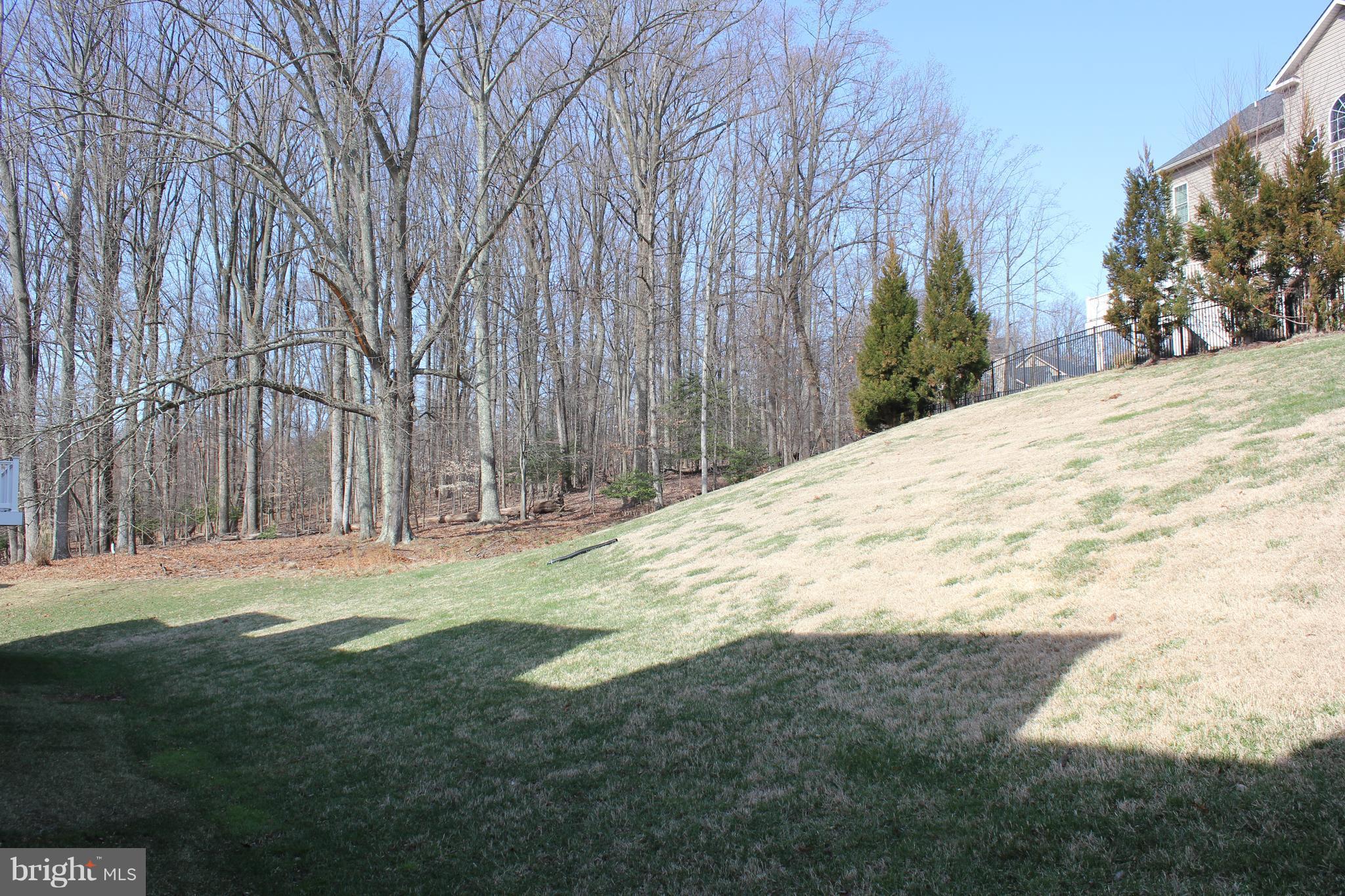 1523 Rabbit Hollow Place Silver Spring, MD 20906 - Photo 3 of 27 View out the back of home