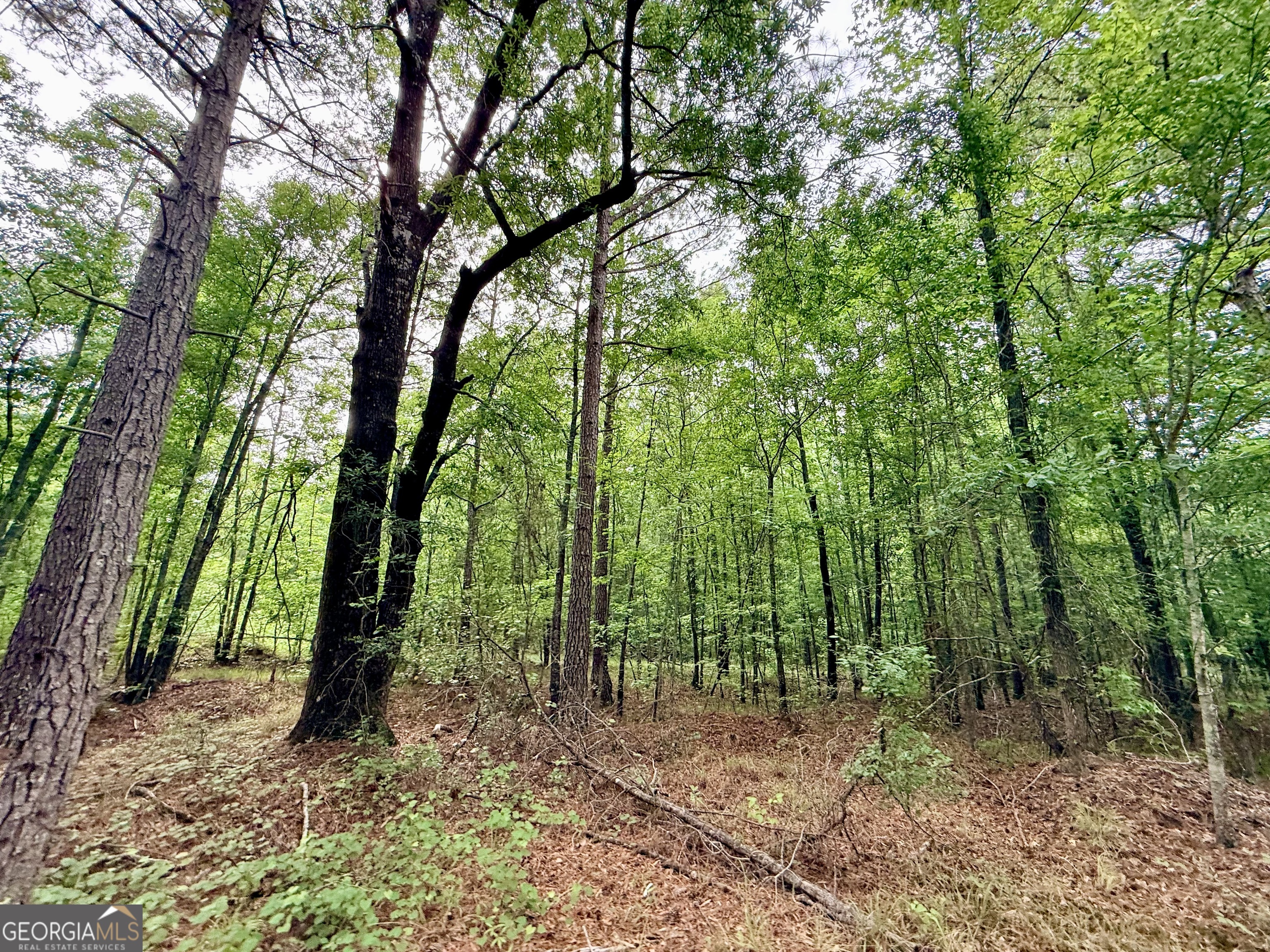 715 Fulsome Creek Road Sparta, GA 31087 - Photo 101 of 117