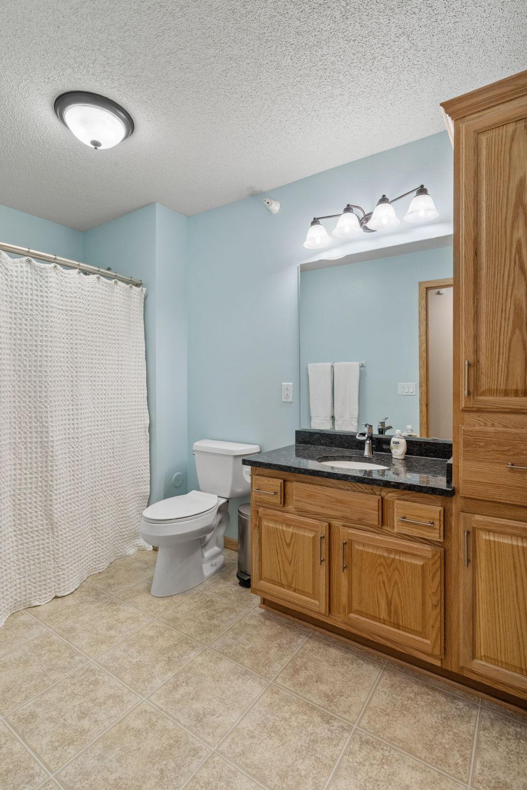 15631 Linnet Street Northwest, Unit 3202 Andover, MN 55304 - Photo 14 of 23