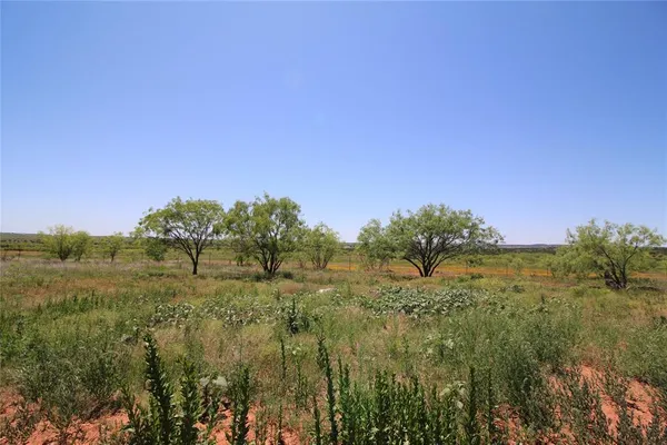 a view of a field with trees in background