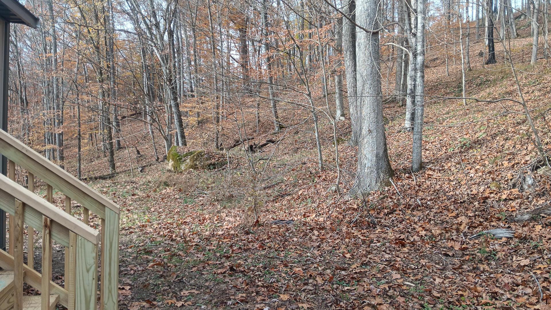 0 Keystone Road, Unit CREEKVIEW CABIN) Vinton, OH 45686 - Photo 58 of 95 CT-58