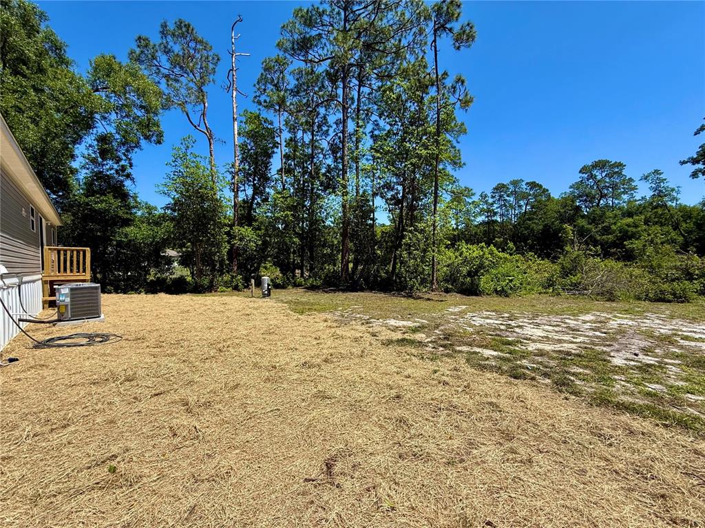 43740 Sunset Drive Paisley, FL 32767 - Photo 26 of 34